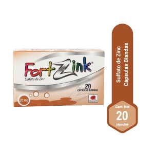 fortZink