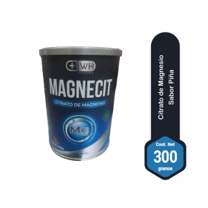 magnecit citrato de magensio piña 300 g