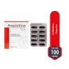 ampicilina 500 mg 100 caps