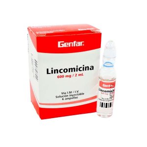 LINCOMICINA AMP 600MG/2ML X 6