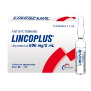 LINCOPLUS AMP 600MG/2ML X 5